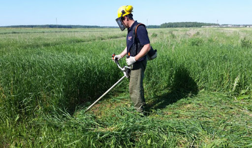 Приглашаем на работу рабочего по покосу травы - Изображение #1, Объявление #1687937