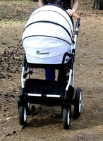 Детская коляска Carrera 2 в 1 - Изображение #1, Объявление #1131837