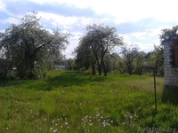 Продаётся дом в г.п. Паричи - Изображение #3, Объявление #1436123