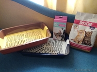 кошачьи принадлежности - Изображение #5, Объявление #1625469