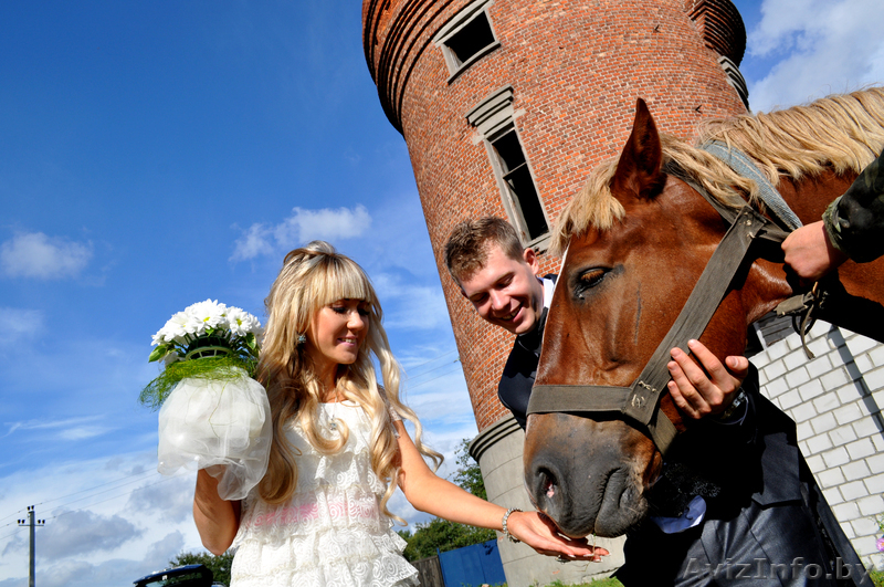 фотограф в светлогорске - Изображение #3, Объявление #738787