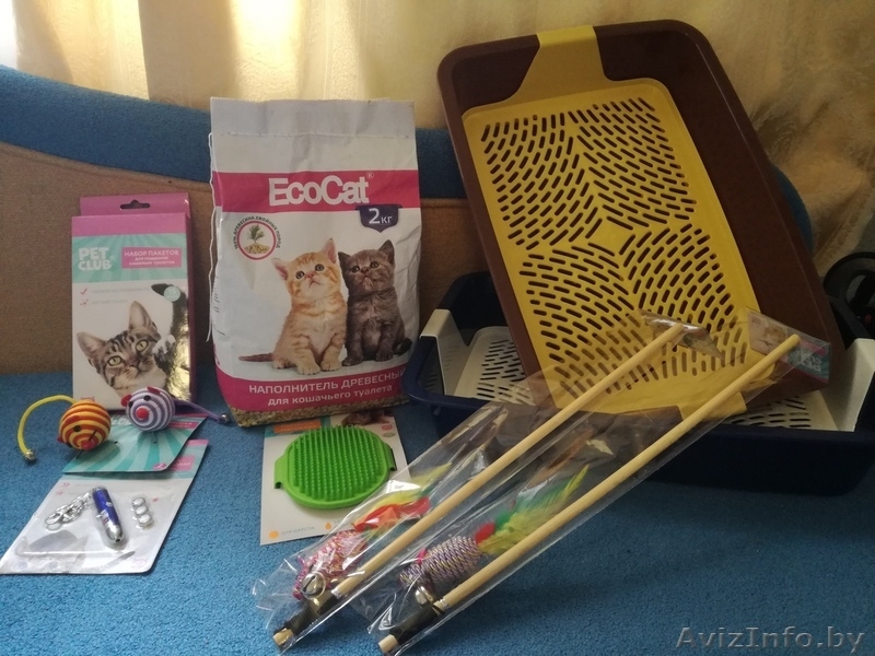 кошачьи принадлежности - Изображение #1, Объявление #1625469