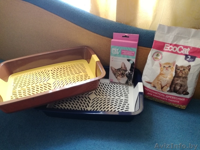 кошачьи принадлежности - Изображение #5, Объявление #1625469
