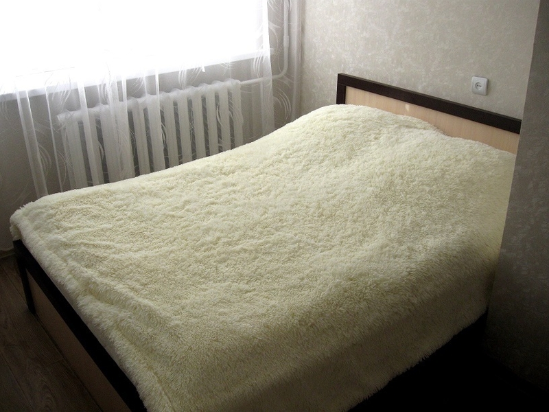 Сдам. Однокомнатная посуточно. в Светлогорске - Изображение #1, Объявление #1687088